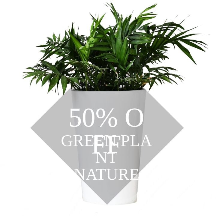 instagram event promoting creative potted greenery
