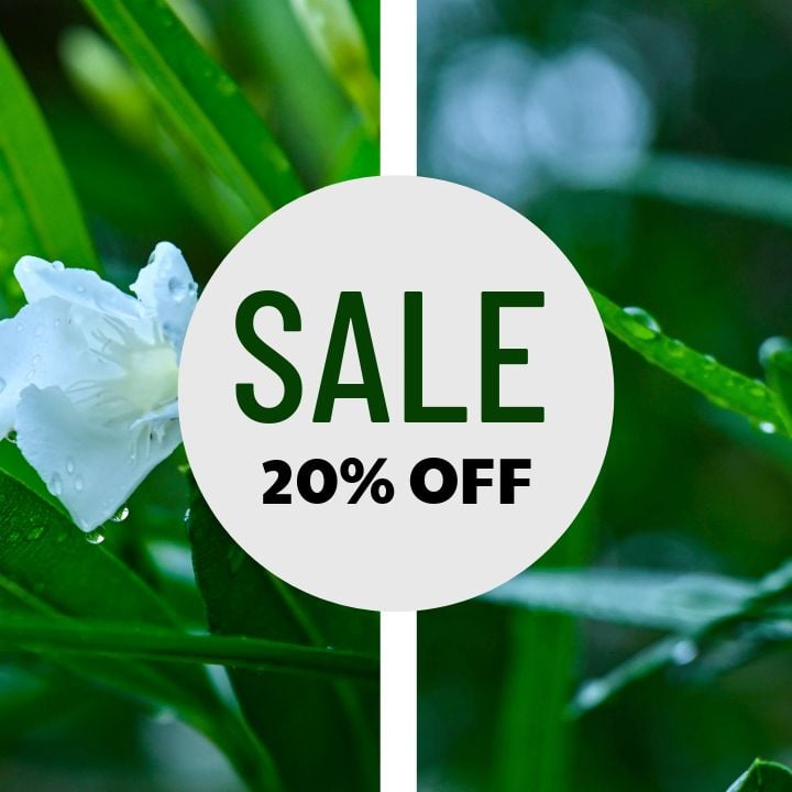 instagram event promoting potted plants