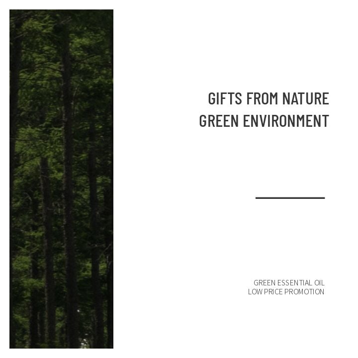 minimalist instagram with abstract green design